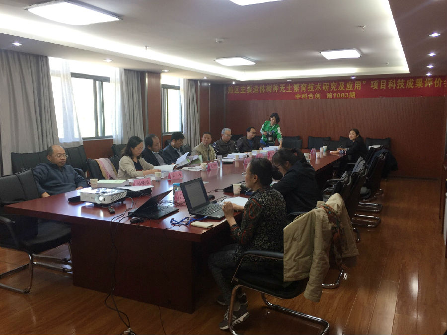 热区主要造林11.jpg 热区主要造林11.jpg