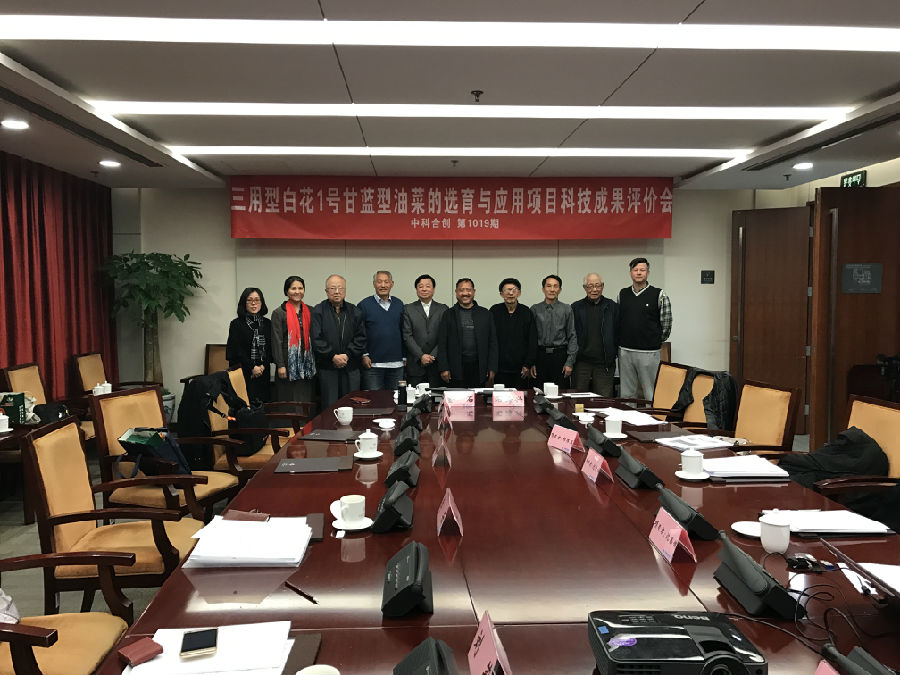 3.22三用型白花.jpg 3.22三用型白花.jpg