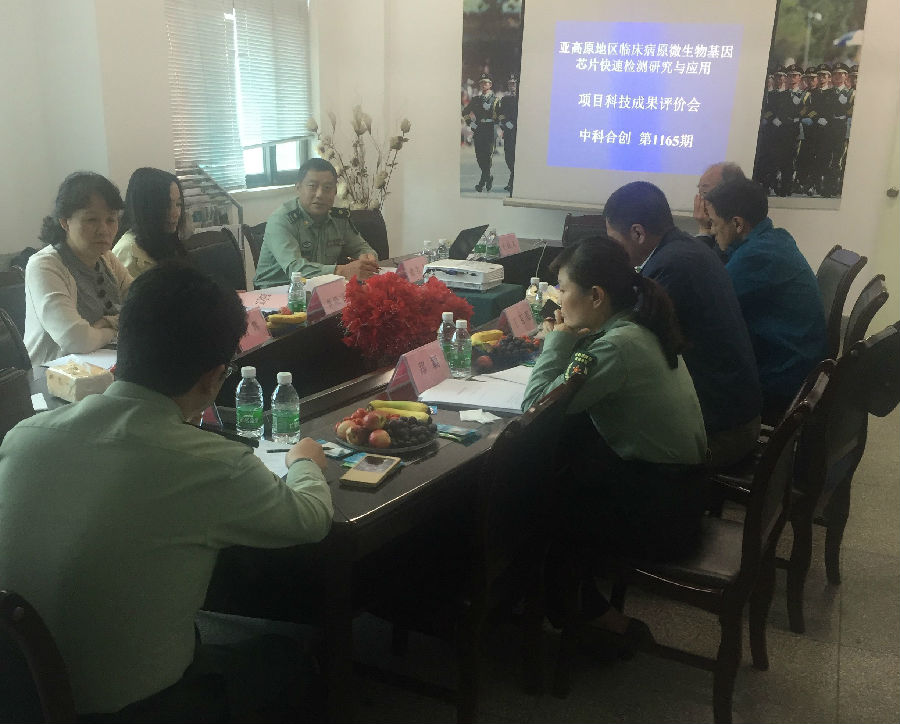 亚高原1-1.jpg 亚高原1-1.jpg