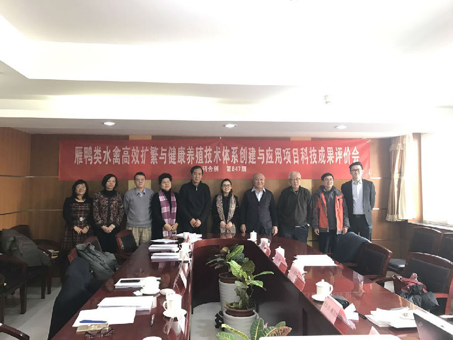 雁鸭类水禽高效扩繁与健康养殖技术体系创建与应用.jpg 雁鸭类水禽高效扩繁与健康养殖技术体系创建与应用.jpg